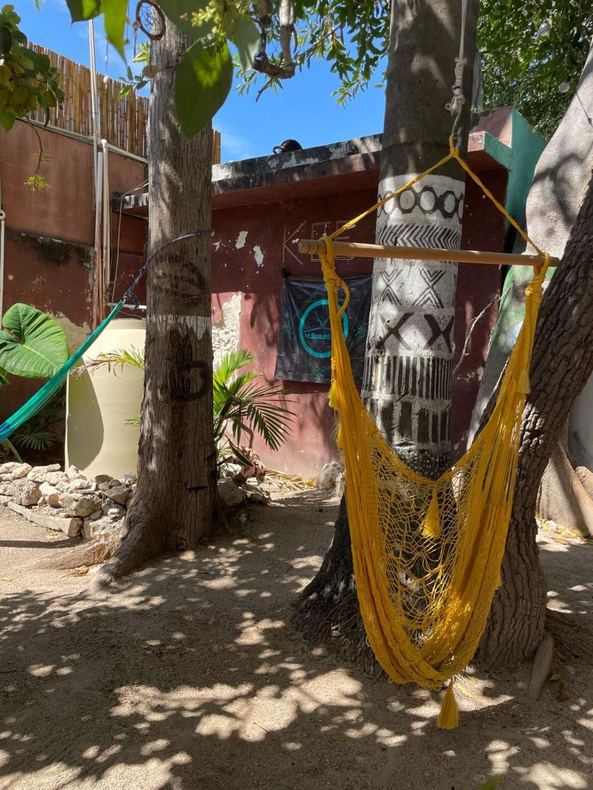 La Casa Del Keej Hostel Mérida Kültér fotó