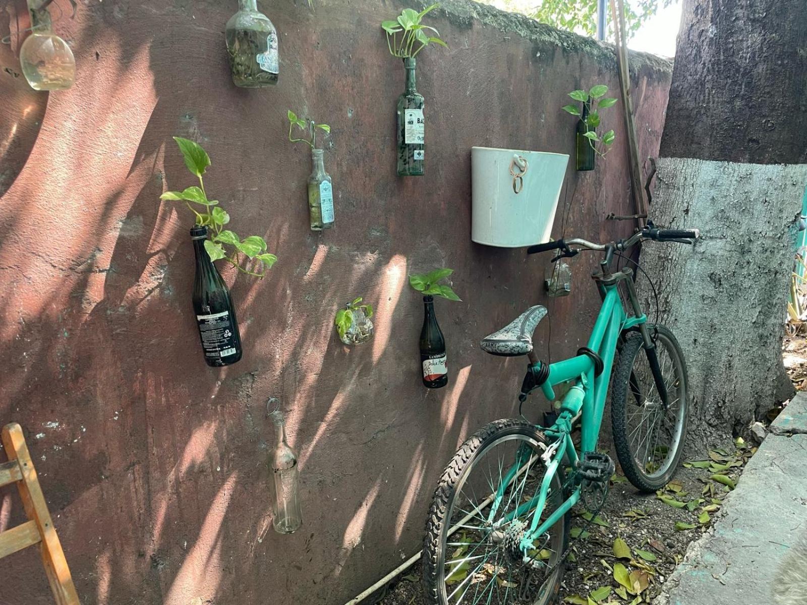 La Casa Del Keej Hostel Mérida Kültér fotó