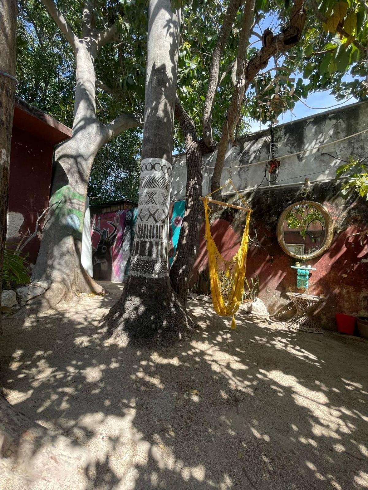 La Casa Del Keej Hostel Mérida Kültér fotó